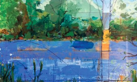 Wide Perspectives on Landscapes