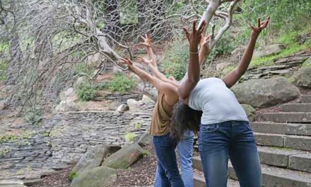 Sarah Bush Dance Projects Ask You to Suspend Your Disbelief