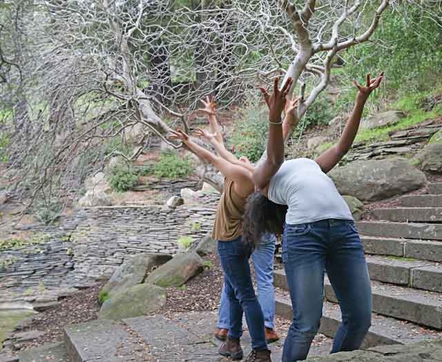 Sarah Bush Dance Projects Ask You to Suspend Your Disbelief