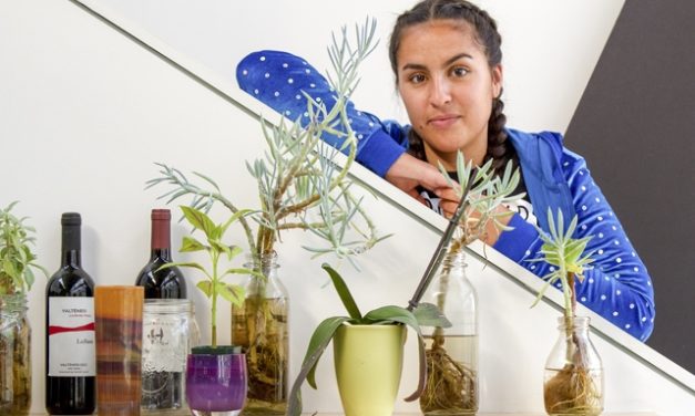 Cookbook Photographer Anya Ku Tries Law School
