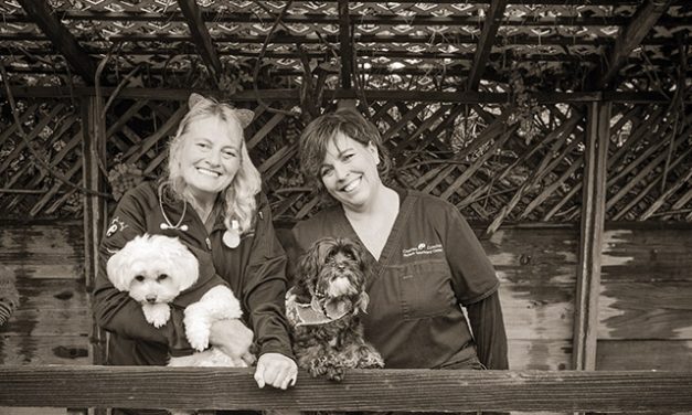 The Face of Veterinary Medicine