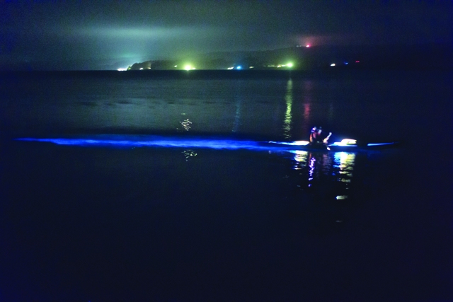 A Mysterious Natural Wonder