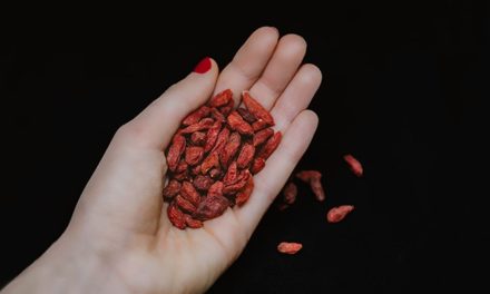 Nosh Box: Ins and Outs of Eating In and Out