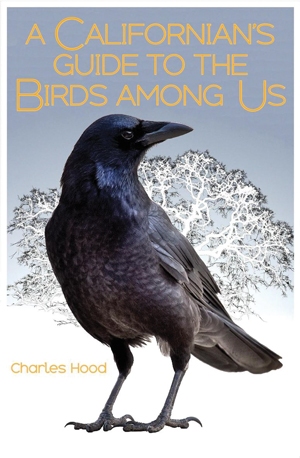 Birds, Natural Wonders, and Foot-Tapping Tunes