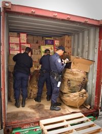 Not So Fast, Customs