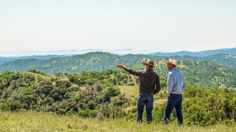 For Sale: The N3 Ranch