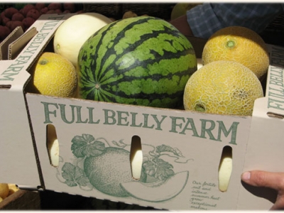 Top 5 Best Produce Delivery Services in Oakland and the East Bay