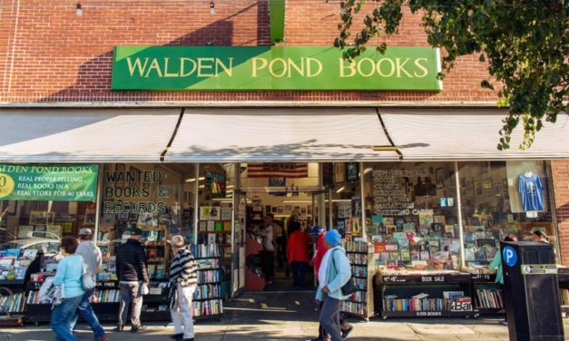 Top 5 Best Bookstores in Oakland and the East Bay