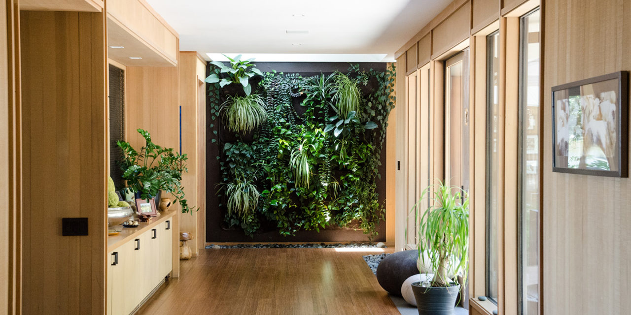 The Test of Time: Taking a look at a LEED Platinum home, 10 years later