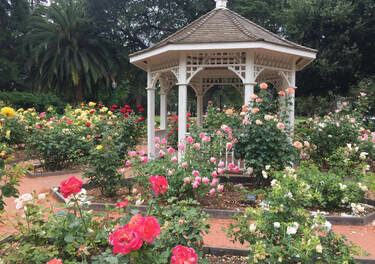 Spend a Summer Day Exploring the San Mateo Area with the Family