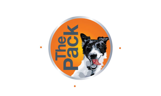 The Pack, Fruitvale: Small‑Batch, Personalized Dog Care in Oakland’s Heart